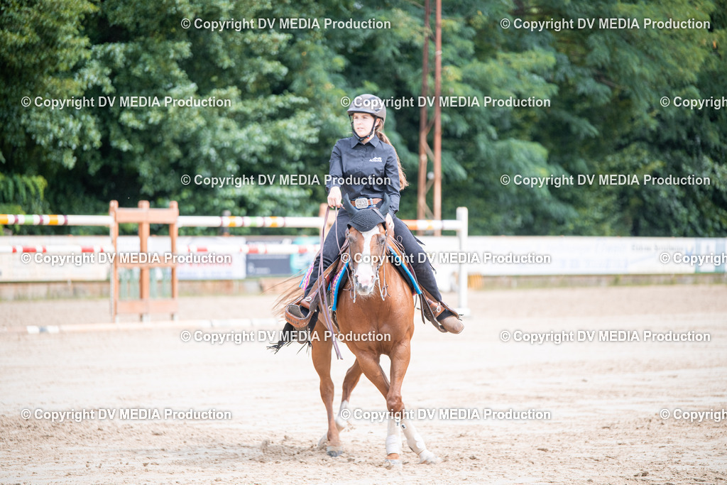 ZS3_5086 | dv-media-shop - Realisiert mit Pictrs.com