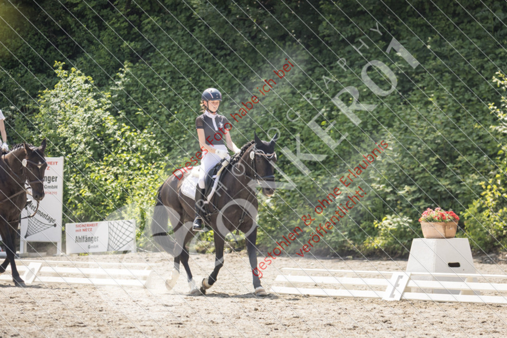 IMG_4517 | Sport-, Event- und Tierfotos in Profiqualität. Einfach auswählen, bestellen und herunterladen. Dein Moment – perfekt festgehalten.