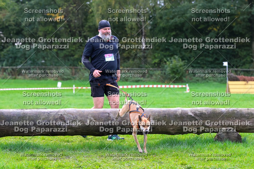 Dog Paparazzi -  SD1026-2110 | Dog Paparazzi Jeanette Grottendiek Fotografie & Videografie - Realisiert mit Pictrs.com