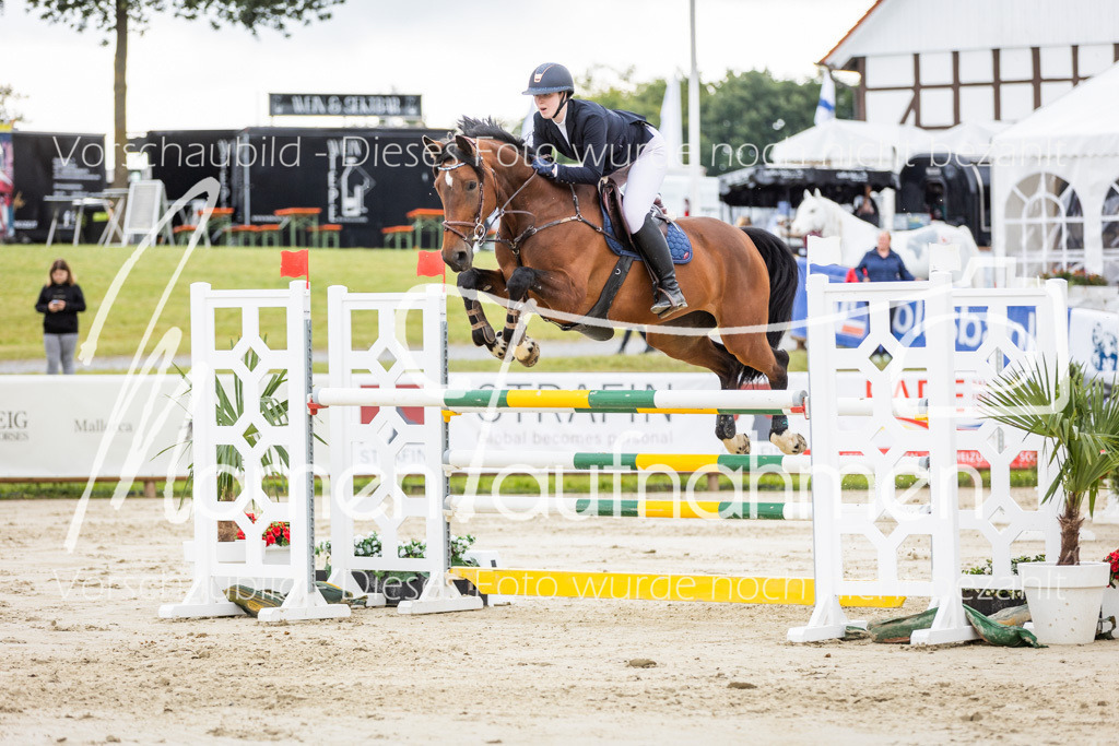 BHO-2PhSpr-M-5-2108 | MomenTaufnahmen Pferdesportfotos