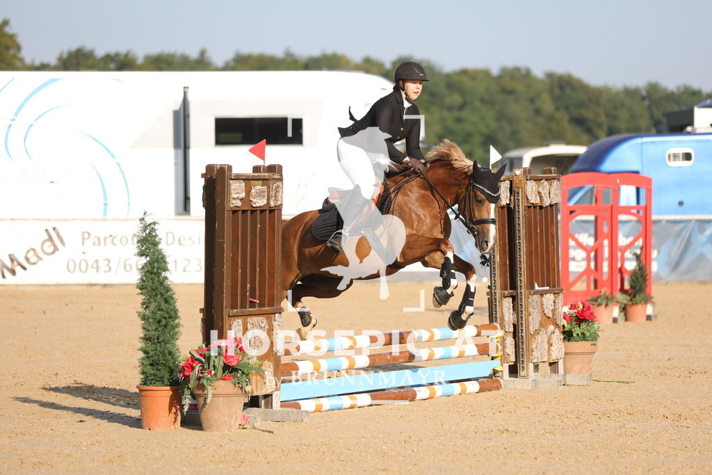 0P6A4149 | Willkommen bei Brunnmayr - Design & Fotografie – Ihrem Spezialisten für Reitturniere und Pferdeveranstaltungen in Oberösterreich, Salzburg und Bayern! Seit über 17 Jahren sind wir leidenschaftlich dabei.