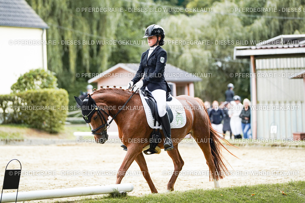 DSC08190 | Pferdegrafie