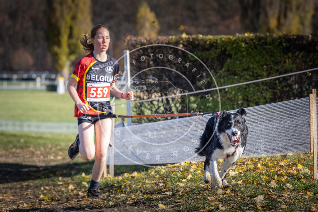 CaniXpix_DV3A8667 | Hundefotografie, Tierfotograf, Pfotenfotografie, Fotoshooting Hund, Hunde Portrait, Hundesport, Hundeportraits, Heideshooting, Hunde, Sportfotograf, Hundefotograf, Turnierhundsport, THS,  - Realisiert mit Pictrs.com