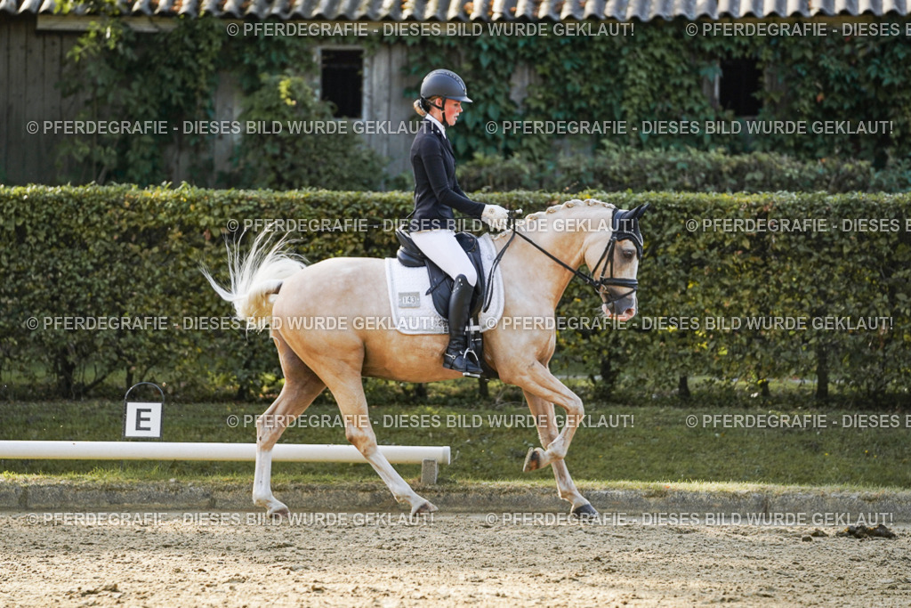 DSC04932 | Pferdegrafie