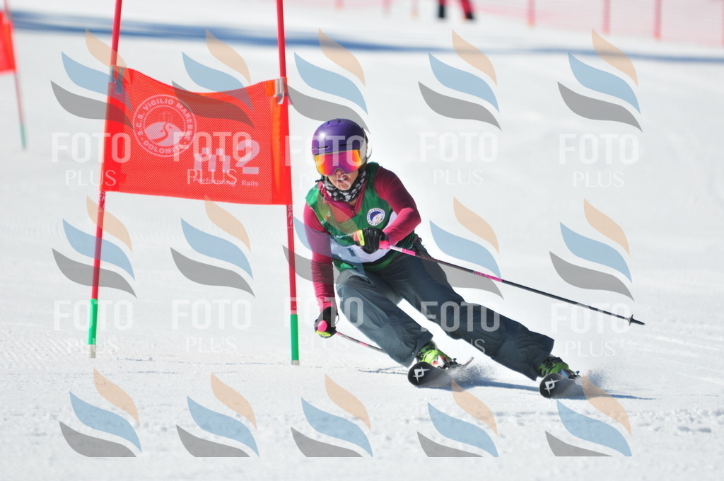 C4119 | holidayphoto