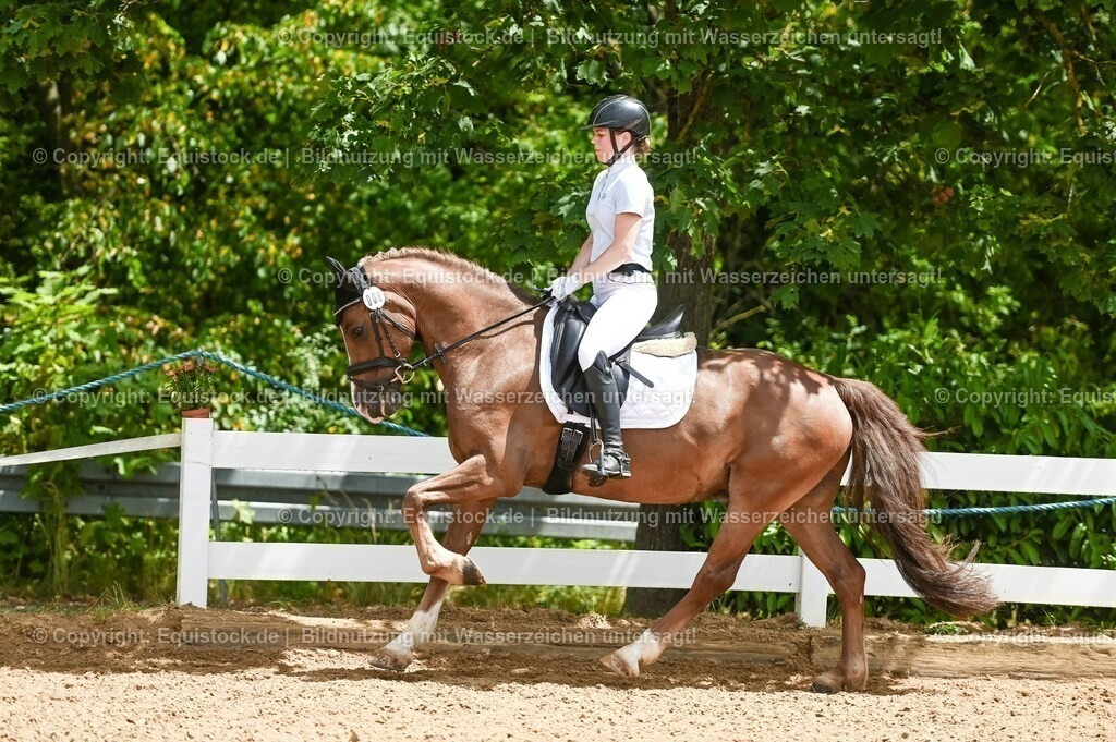 20230715_05_Dressurprüfung Kl.A++_0227 | equistock