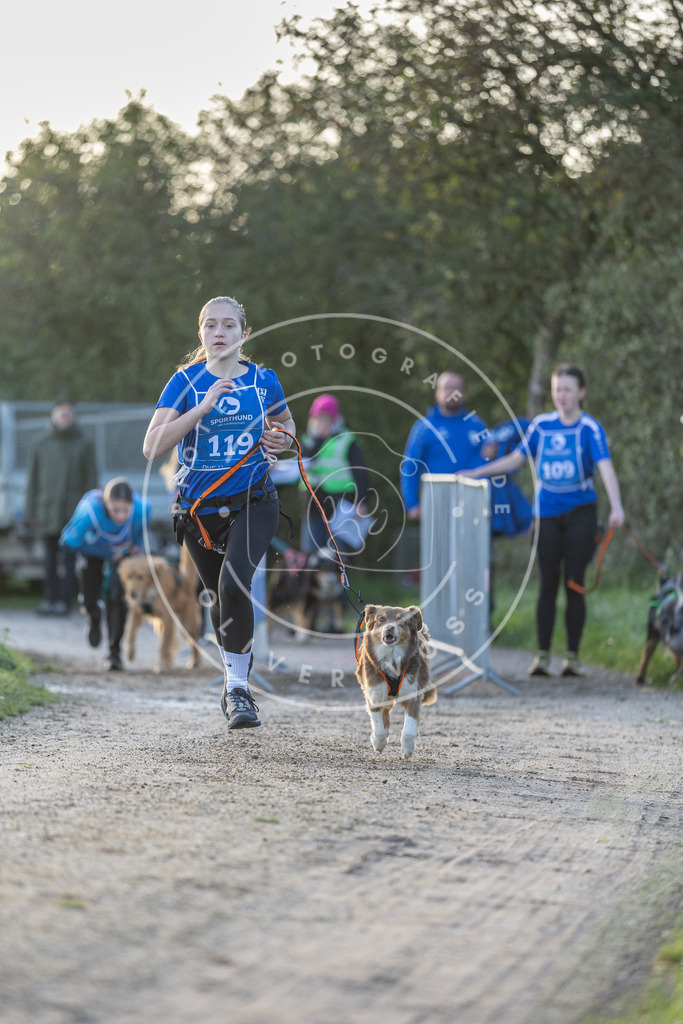 Pfotenfotografie.de_DV3A2505 | Hundefotografie, Tierfotograf, Pfotenfotografie, Fotoshooting Hund, Hunde Portrait, Hundesport, Hundeportraits, Heideshooting, Hunde, Sportfotograf, Hundefotograf, Turnierhundsport, THS, canicross - Realisiert mit Pictrs.com