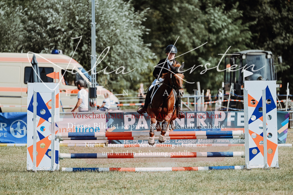DSC_9365 | Pferde- und Turnierfotografie in Westsachsen. Pferdeportraits, Auftragszeichnungen und intuitive Kunst.