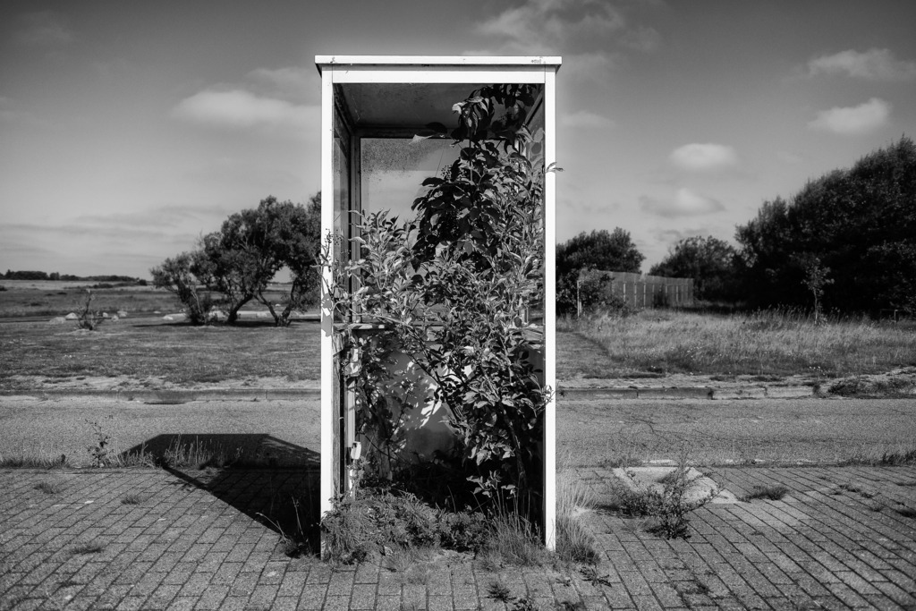wanderschaefereien-schleswig-holstein-020 | Charme der Vergänglichkeit: an der alten Wache des ehemaligen Militärflugplatzes auf Sylt. - Realisiert mit Pictrs.com