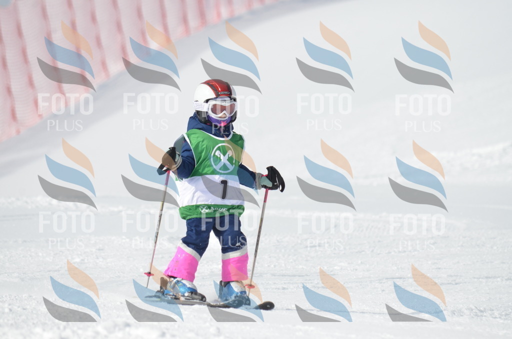 D8447 | holidayphoto