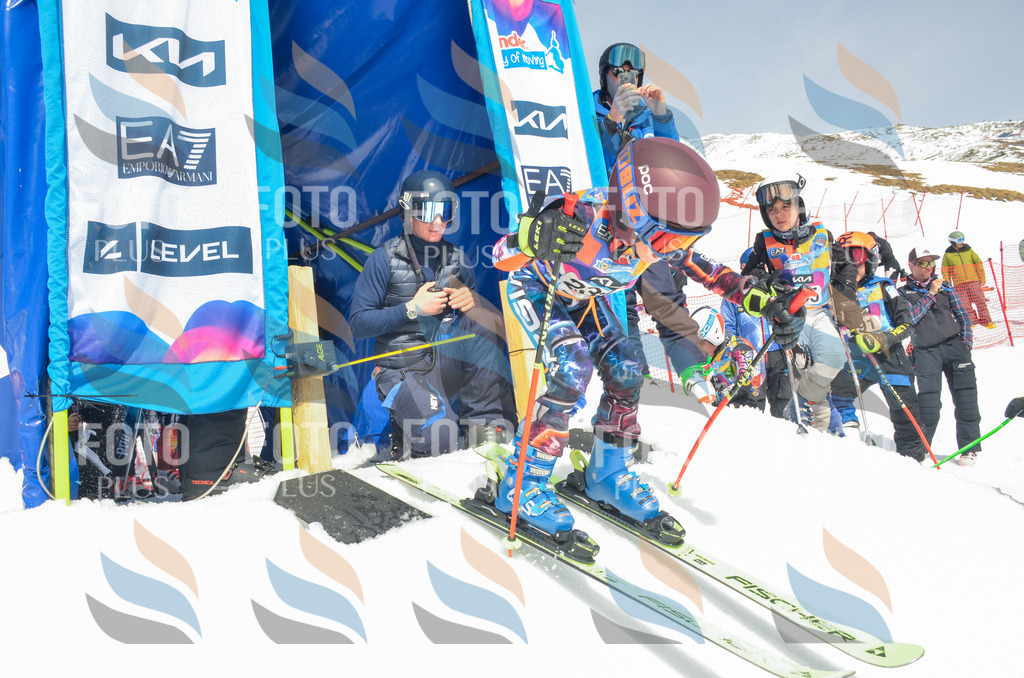 _ELE7415 | holidayphoto