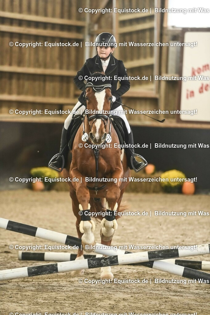 20231029_06_Springreiter-WB_0036 | Foto: Thomas Hartig