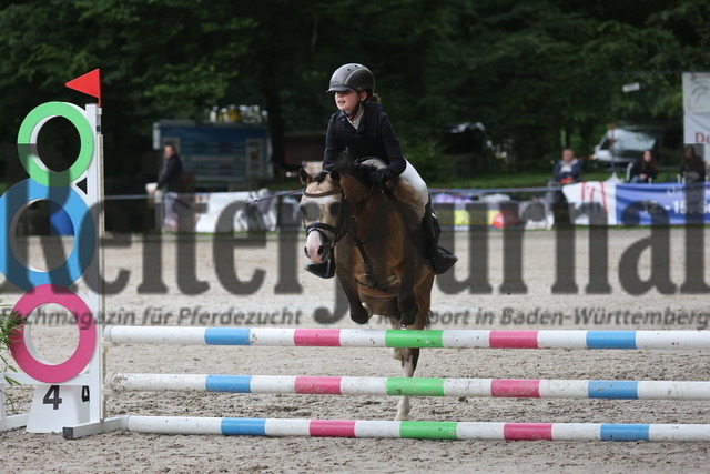 Ichenheim_2024_Prfg.Nr.26_Stilspring-WB_60cm_Frida Veil_Ulbargens EDISON (7) | Alle Fotos der Reiterjournal Fotografin Doris Matthaes im Reiterjournal Online-Fotoshop. - Realisiert mit Pictrs.com