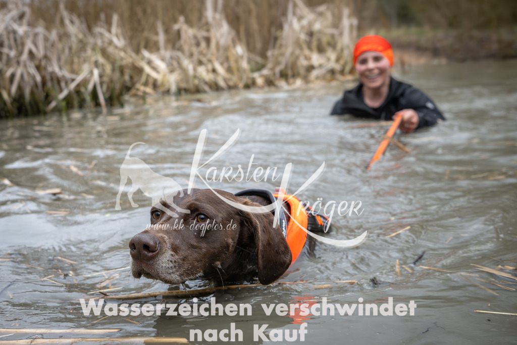1404_ZZ96214 | kk-dogfotos