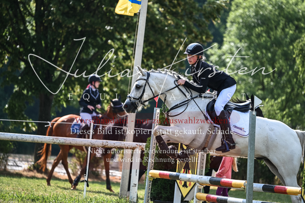 DSC_7727 | Pferde- und Turnierfotografie in Westsachsen. Pferdeportraits, Auftragszeichnungen und intuitive Kunst.