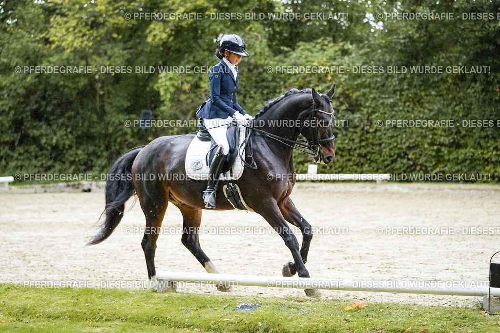 DSC00595 | Pferdegrafie