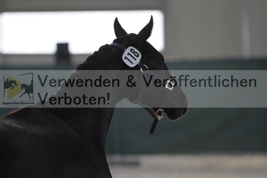 _MG_9347 | equestrian-live-com
