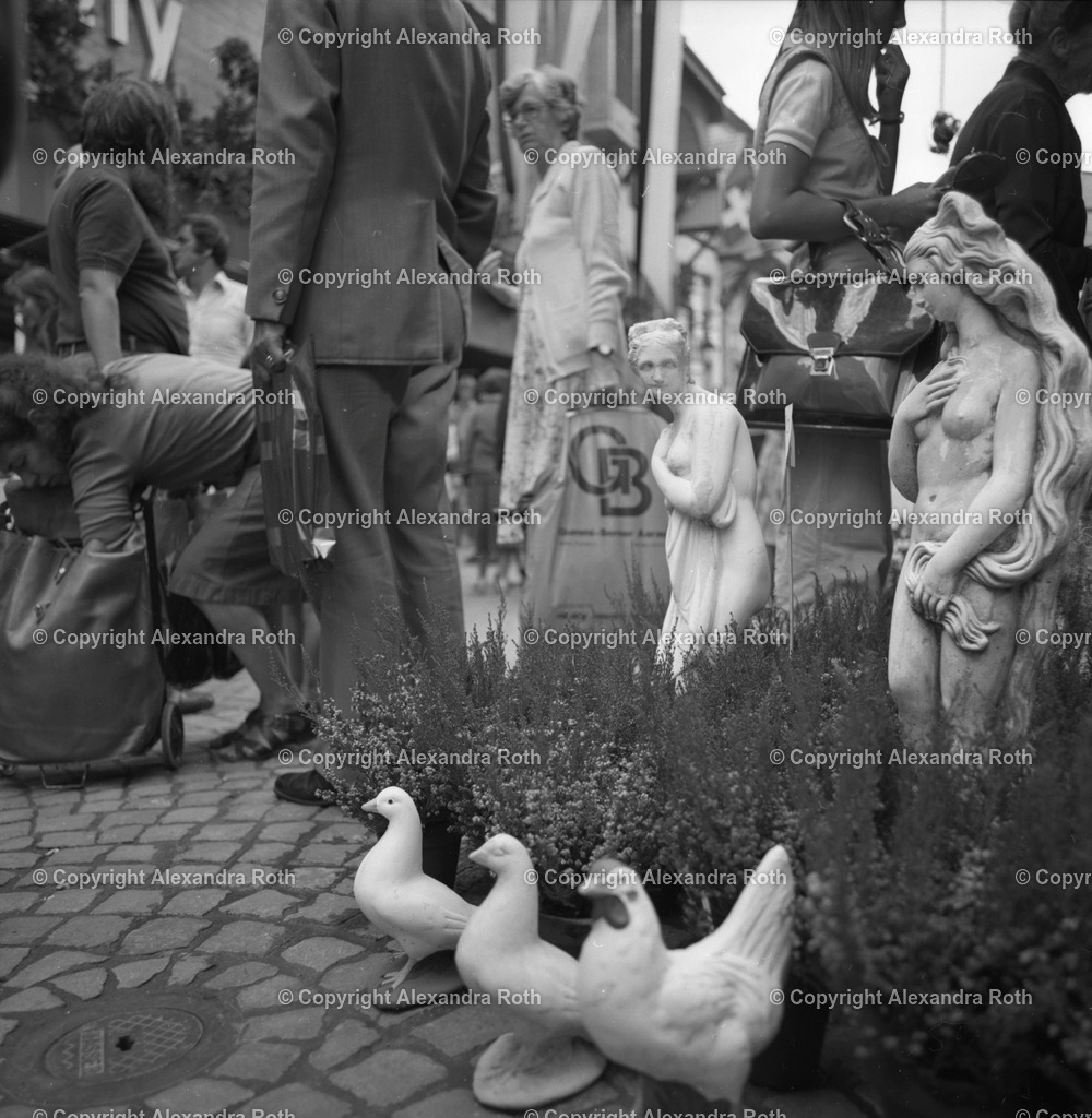 Aarau_785 | onlineshop - Realisiert mit Pictrs.com