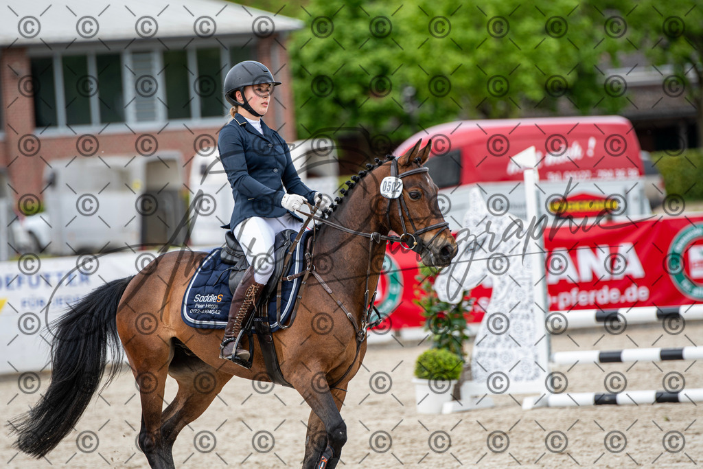 KPT_6318 | andre_photographic