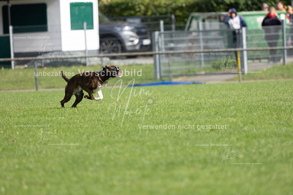 _16A6877 | Einzigartige Fotos von Hunden & Menschen –Actionfotos, Portraits, Vereinsaufnahmen & Paarshootings – authentisch, lebendig & mit Herz.