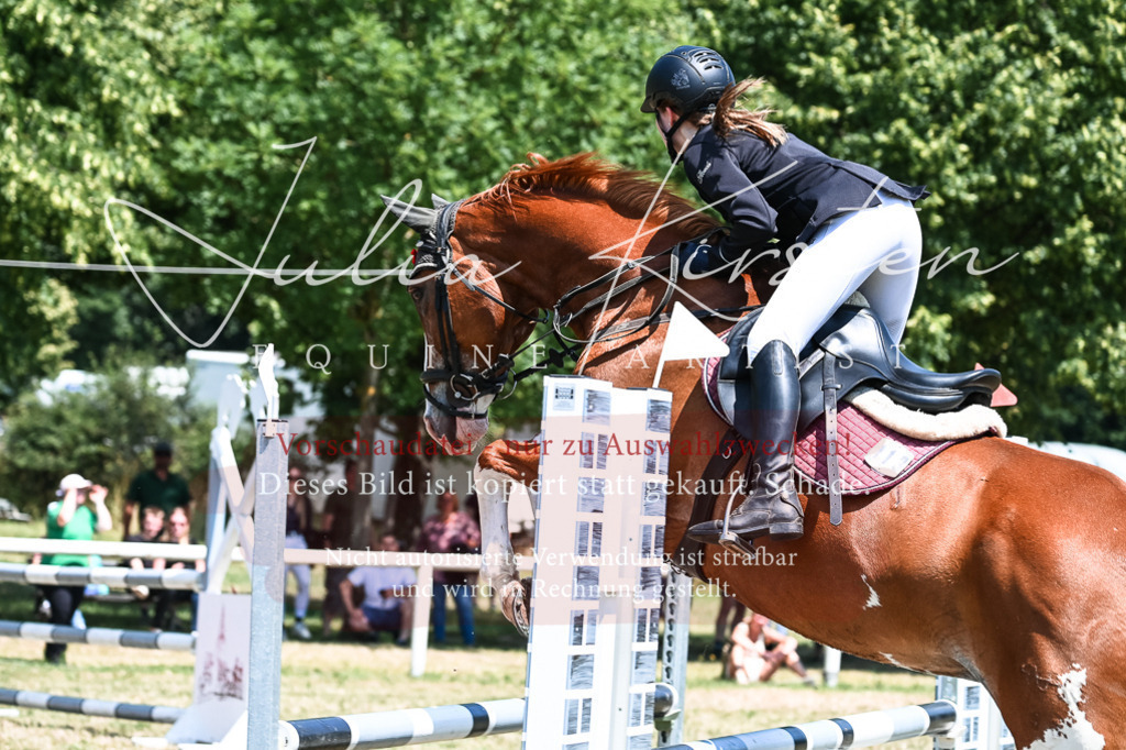 DSC_0009 | Pferde- und Turnierfotografie in Westsachsen. Pferdeportraits, Auftragszeichnungen und intuitive Kunst.