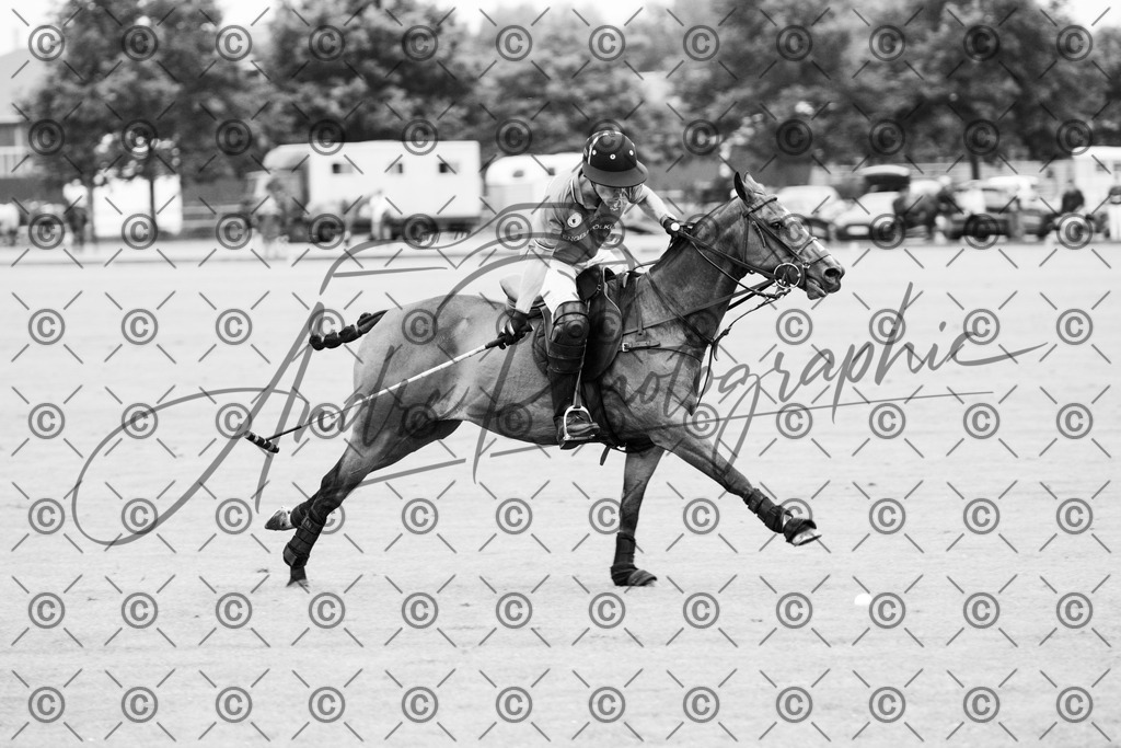 POL_2801-2 | andre_photographic