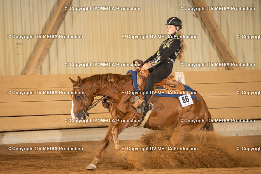 NID03825 | dv-media-shop - Realisiert mit Pictrs.com