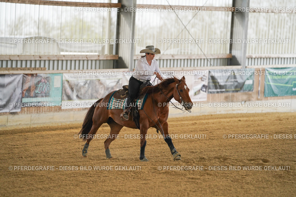 DSC07878 | Pferdegrafie