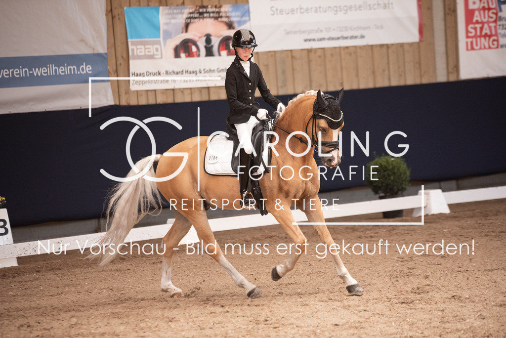 DSC_3474 | Carolin Gieschke