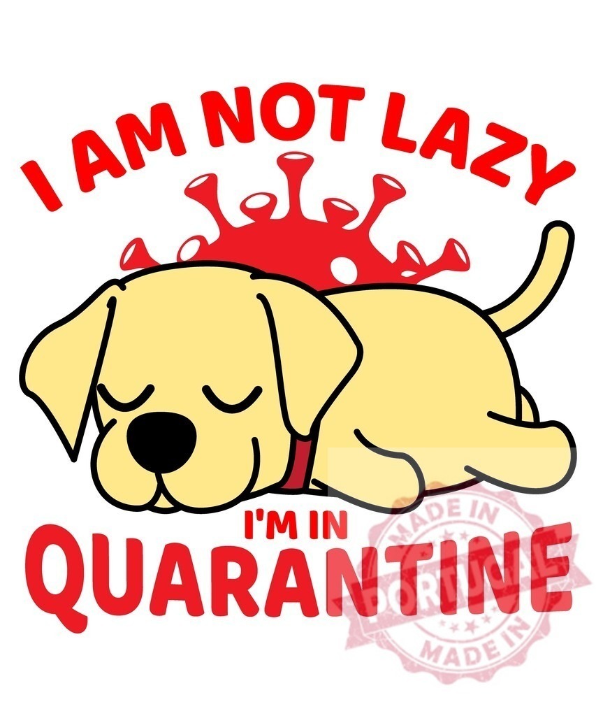Little dog sleeping pandemic quarantine humor | Cartoon dog sleeping with text I am not lazy I'm in quarantine and coronavirus icon - Realisiert mit Pictrs.com
