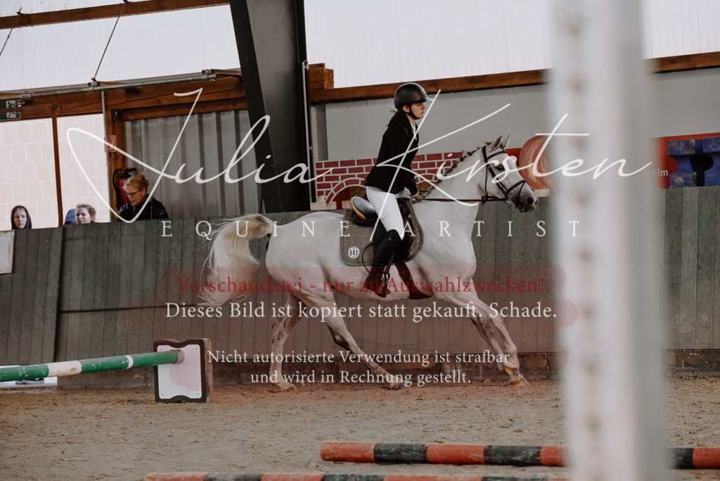 DSC_7423 | Pferde- und Turnierfotografie in Westsachsen. Pferdeportraits, Auftragszeichnungen und intuitive Kunst.