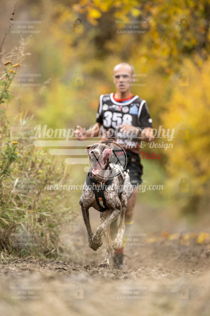 MompixPhotography_ICF_WC_2024_SA_Run_-278 | PayLife