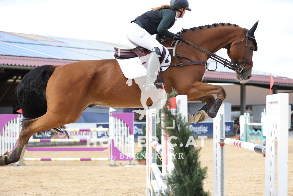0P6A8992 | Willkommen bei Brunnmayr - Design & Fotografie – Ihrem Spezialisten für Reitturniere und Pferdeveranstaltungen in Oberösterreich, Salzburg und Bayern! Seit über 17 Jahren sind wir leidenschaftlich dabei.