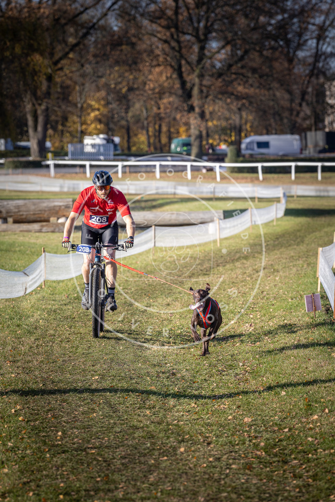 CaniXpix_DV3A2994 | Hundefotografie, Tierfotograf, Pfotenfotografie, Fotoshooting Hund, Hunde Portrait, Hundesport, Hundeportraits, Heideshooting, Hunde, Sportfotograf, Hundefotograf, Turnierhundsport, THS,  - Realisiert mit Pictrs.com