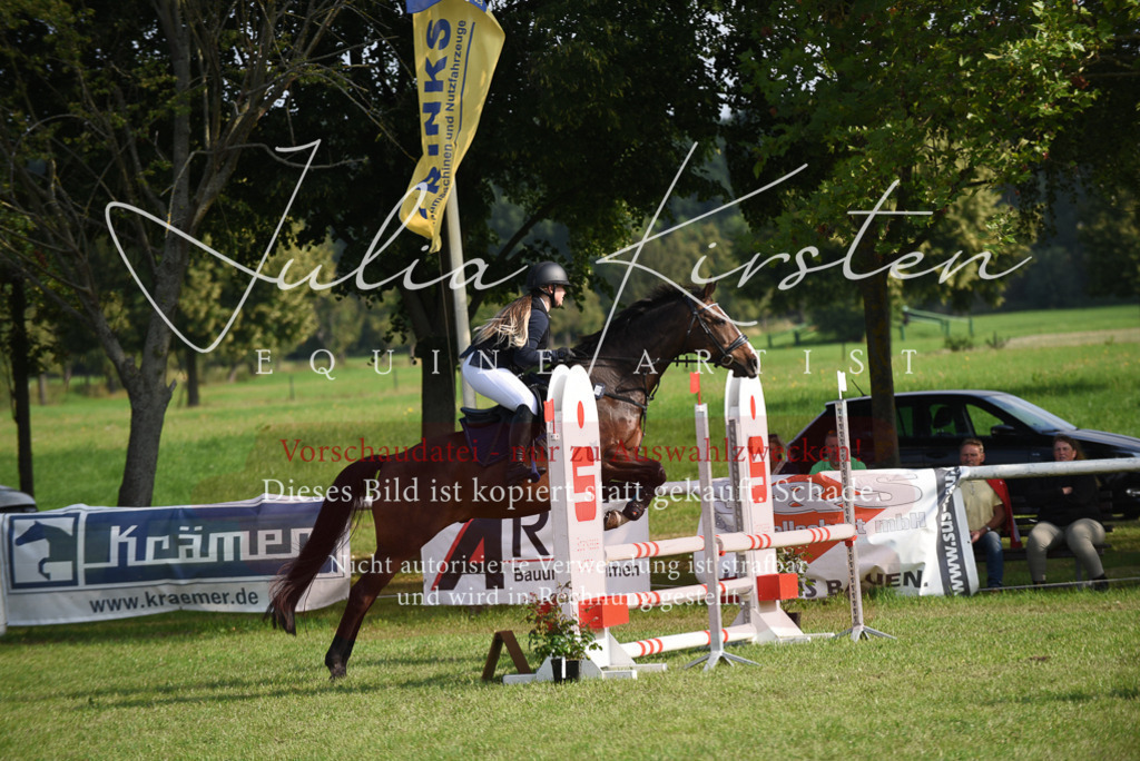 DSC_8636 | Pferde- und Turnierfotografie in Westsachsen. Pferdeportraits, Auftragszeichnungen und intuitive Kunst.