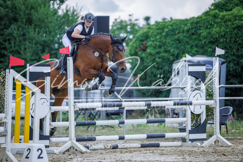 20260705-_3LI4543 | Tierfotografie Pferde, Hunde, Katzen, Haustiere.
Turnierfotografie Reitturniere, Reiten, Springreiten, Dressur in Hanau, dem Main-Kinzig-Kreis und dem Rhein-Main- Gebiet um Frankfurt