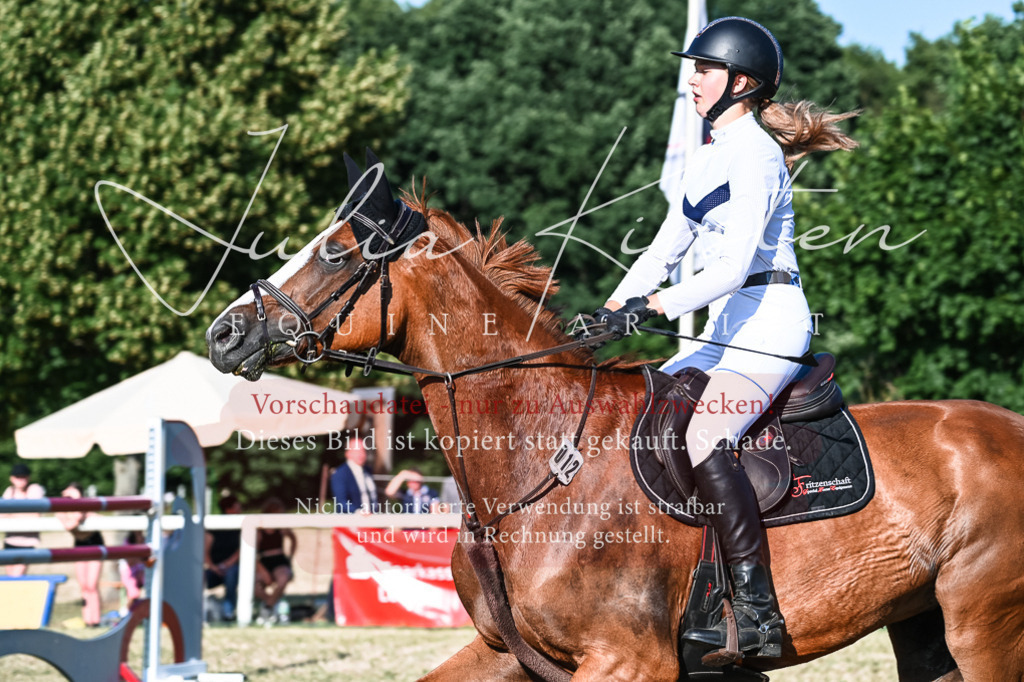 DSC_2769 | Pferde- und Turnierfotografie in Westsachsen. Pferdeportraits, Auftragszeichnungen und intuitive Kunst.