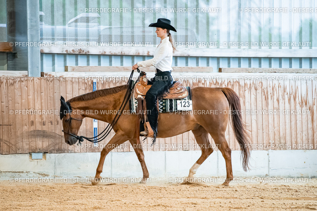 DSC09944 | Pferdegrafie