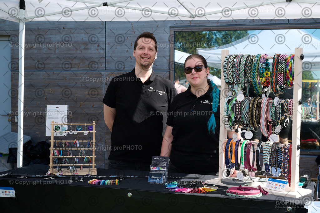 005_202509_4Hundebadetag_NZ9_2067 | proPHOTO - Realisiert mit Pictrs.com