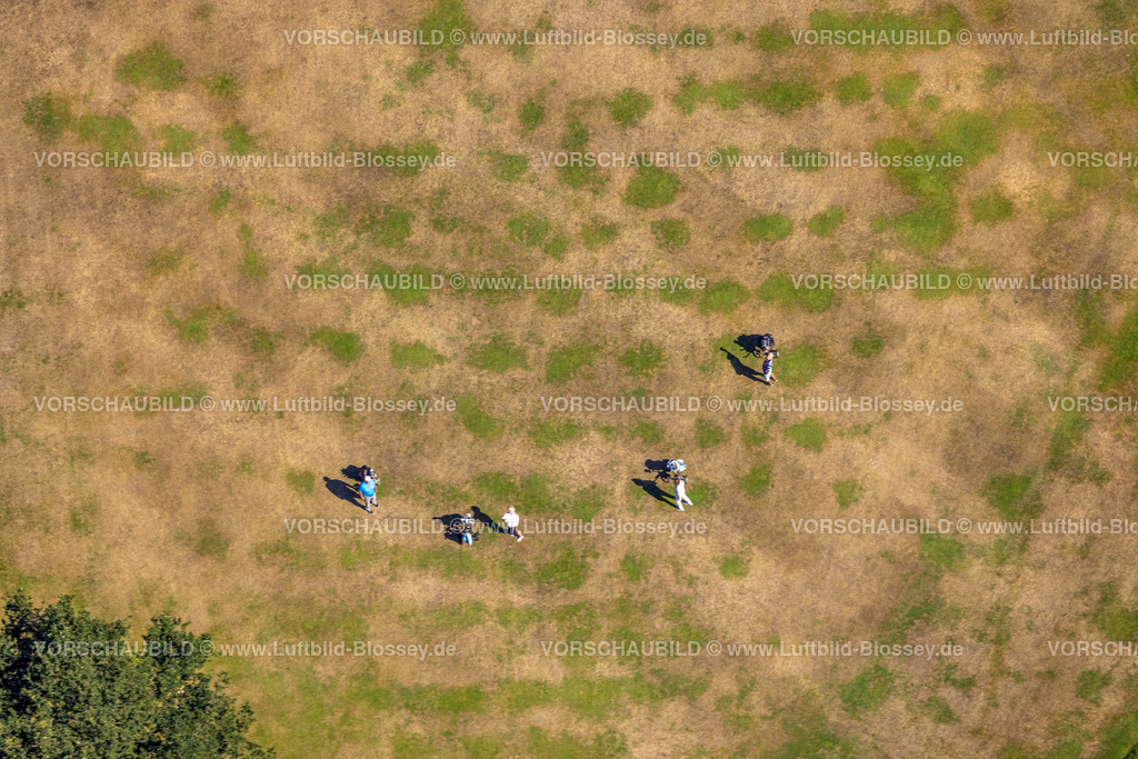 Gelsenkirchen220801705Buer | Luftbild, Golfplatz Golfclub Haus Leythe mit Golfspielern, vertrocknete Rasenfläche mit Golfspielern, Dürre, Resser Mark, Gelsenkirchen, Ruhrgebiet, Nordrhein-Westfalen, Deutschland