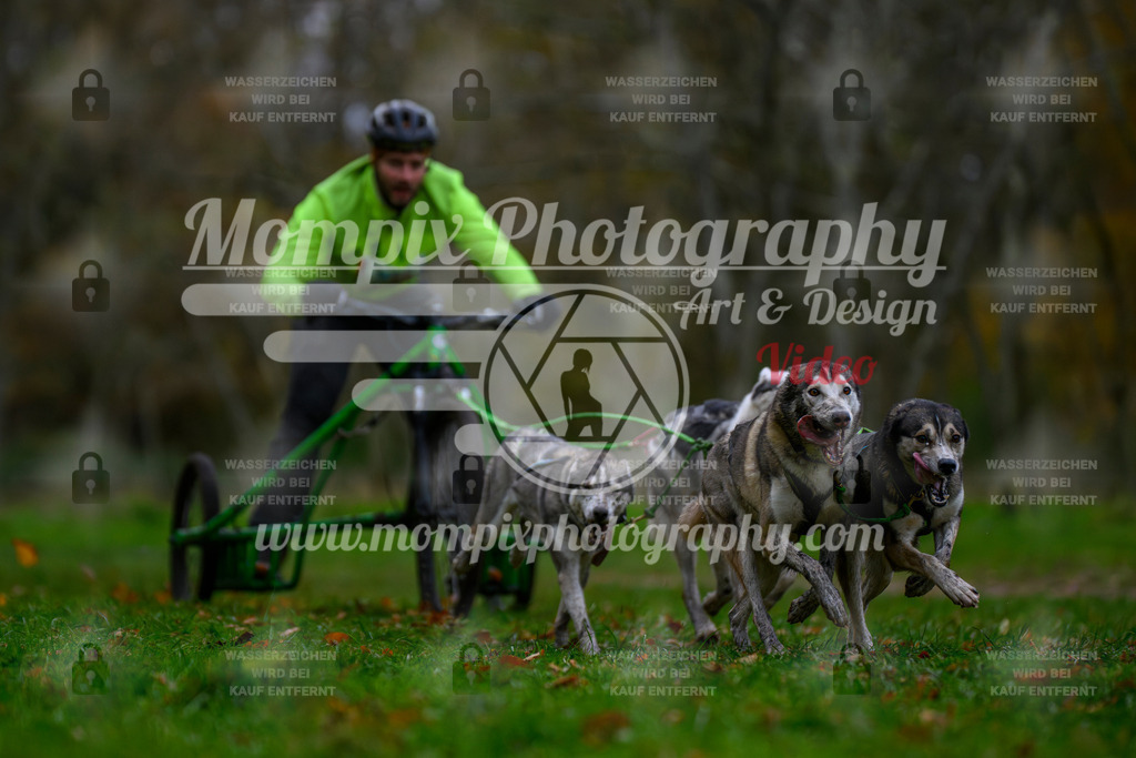MompixPhotography_Bischwiller24_SA_Kart-5 | PayLife