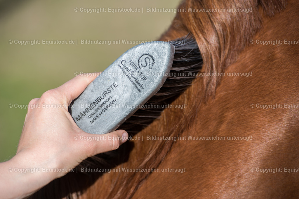 20150414_B__rsten_0005 | equistock