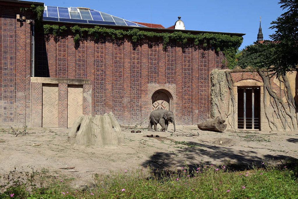 Foto: Leipzig - Zoo | Das Team hinter BILDLEXIKON LEIPZIG bündelt historische wie aktuelle Informationen über die Stadt Leipzig in Text und Bild auf einer Plattform und stellt diese der interessierten Öffentlichkeit zur Verfügung.