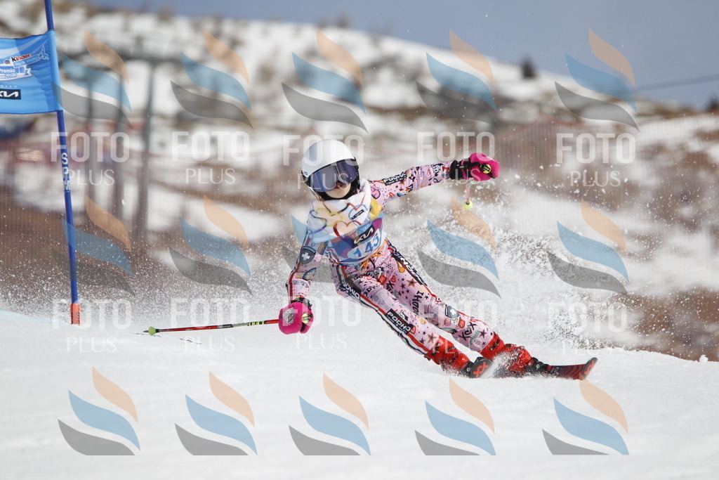 _U3G1083 | holidayphoto