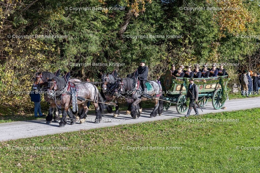 LBT24-627 | foto-bettina-krinner - Realisiert mit Pictrs.com