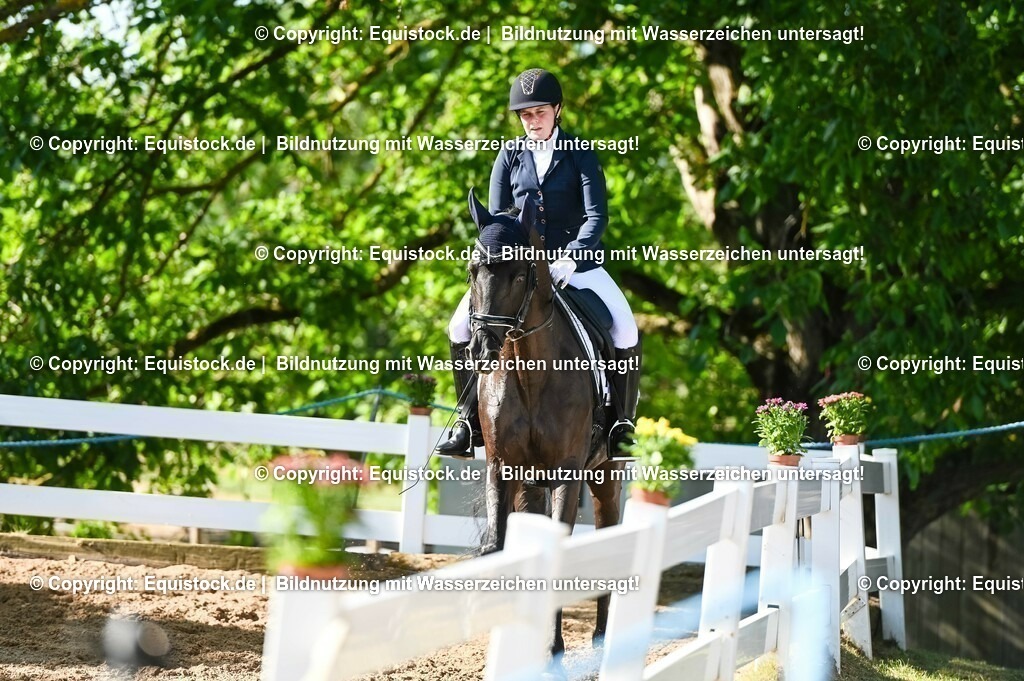 20230715_06_Dressurpferdeprfg. Kl.A_0175 | equistock