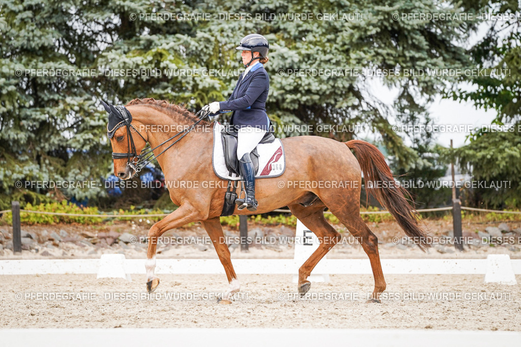 DSC07517 | Pferdegrafie