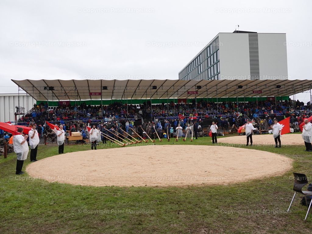 DSC07988 | Schwingen - Realisiert mit Pictrs.com