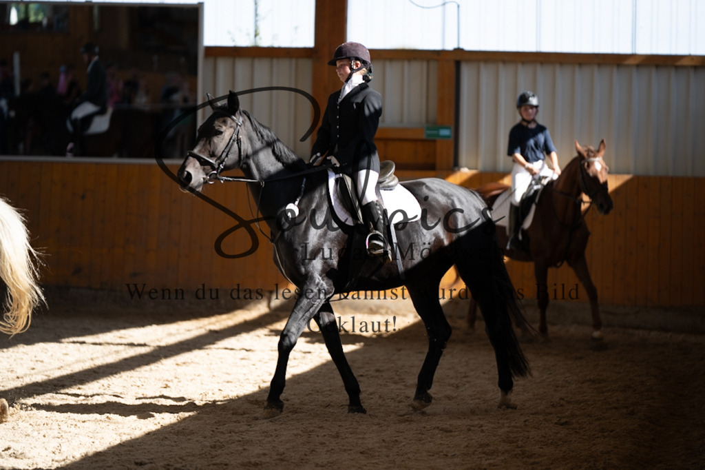 A7V02169 | Turnier/Reitfotograf
