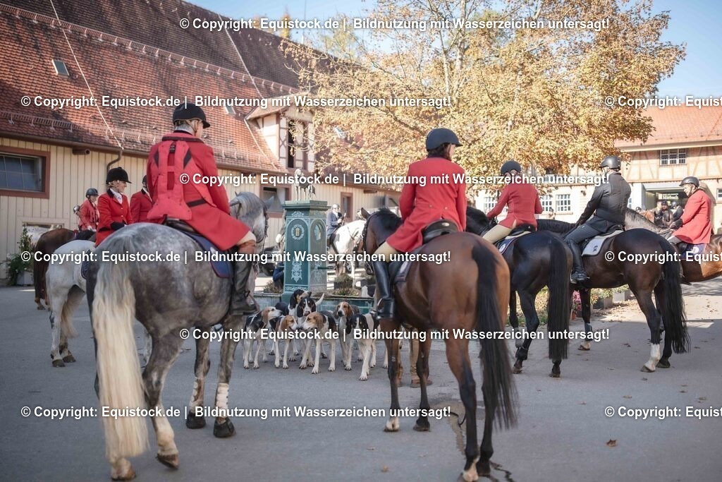 20251011_Jagd-Marbach_0627 | Foto: Thomas Hartig